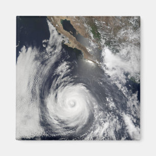 Hurricane Douglas Magnet