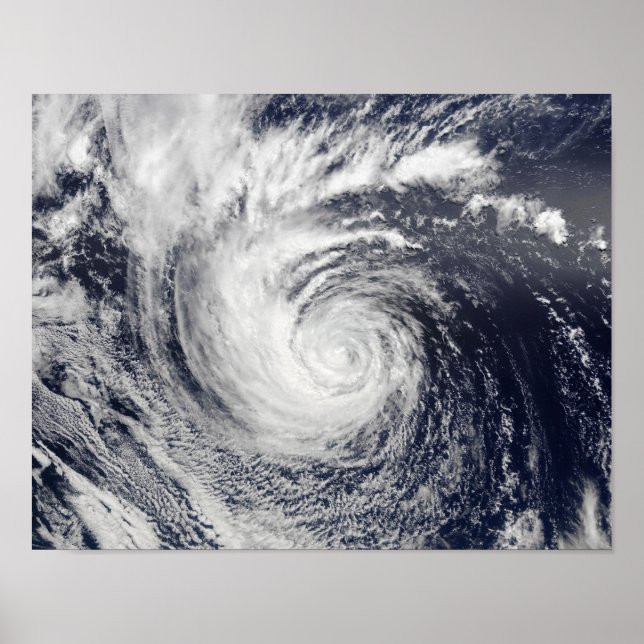 Hurricane Ele Poster (Vorne)