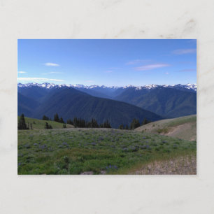 Hurricane Ridge - Olympic-Nationalpark Postkarte