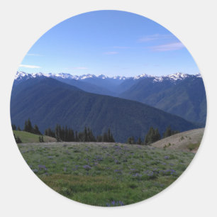 Hurricane Ridge Olympic Nat'l Park Rundaufkleber Runder Aufkleber