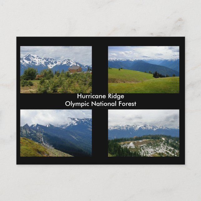 Hurricane Ridge Postcard Postkarte (Vorderseite)