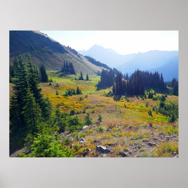 Hurricane Ridge Trail Poster (Vorne)