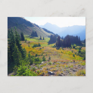 Hurricane Ridge Trail Postkarte