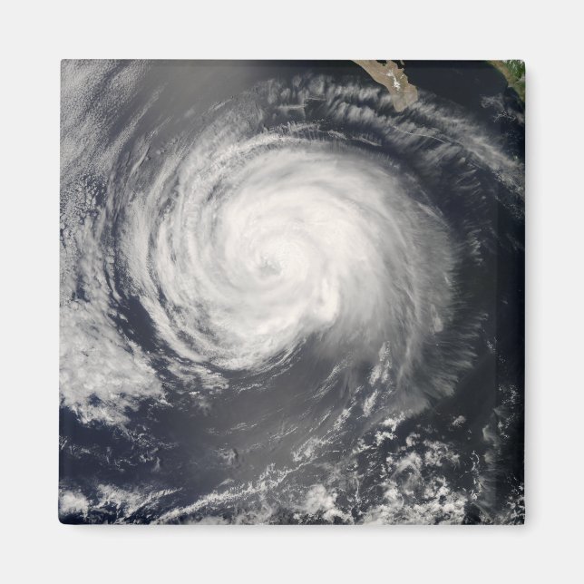 Hurrikan Fausto Magnet (Vorne)