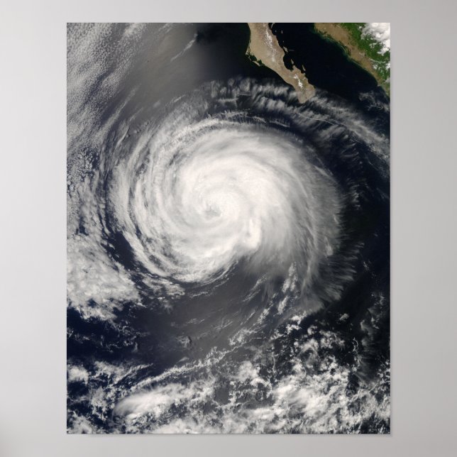 Hurrikan Fausto Poster (Vorne)