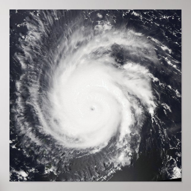 Hurrikan Frances Poster (Vorne)