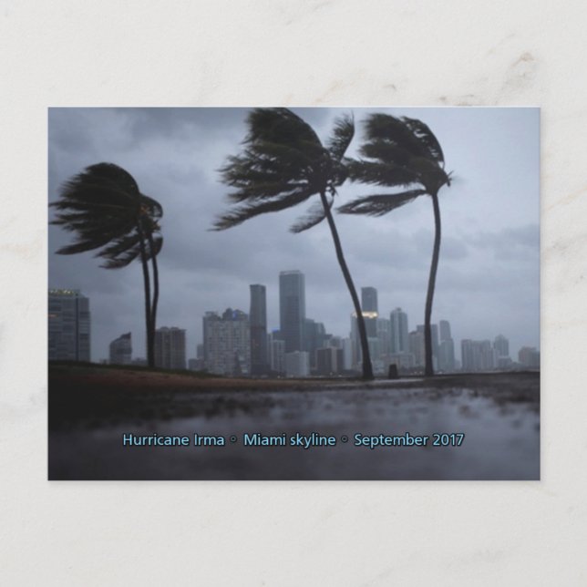 Hurrikan Irma Miami Skyline Postkarte (Vorderseite)