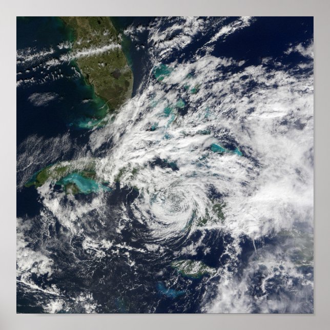 Hurrikan Paloma 2 Poster (Vorne)