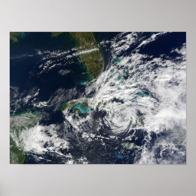 Hurrikan Paloma Poster (Vorne)