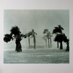 Hurrikan Poster