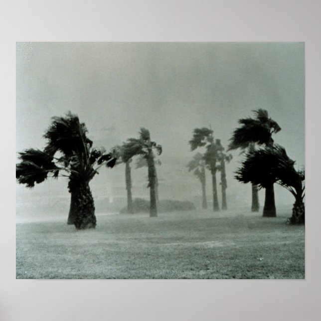 Hurrikan Poster (Vorne)