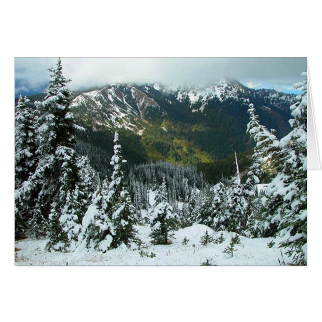 Hurrikan Ridge (Vorderseite (Horizontal))