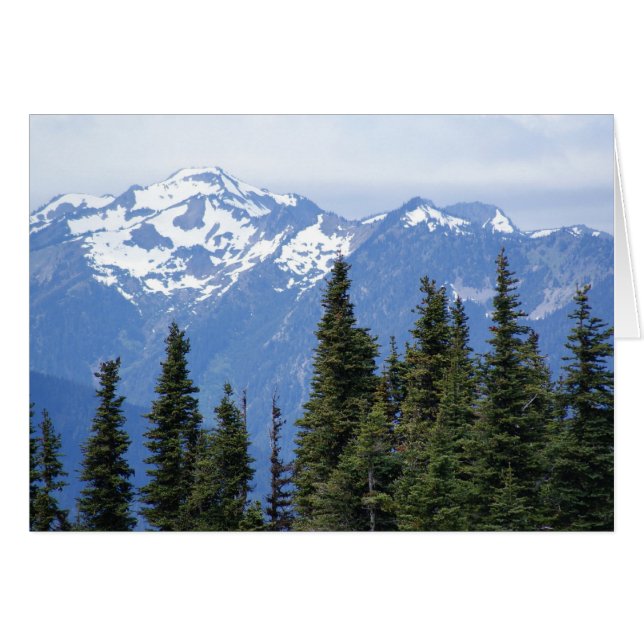 Hurrikan Ridge im Olympischen Nationalpark (Vorderseite (Horizontal))