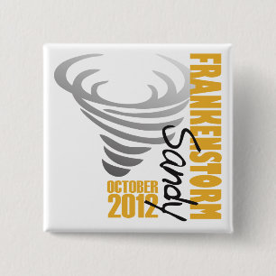 Hurrikan-Sandy-Überlebender 2012 Button