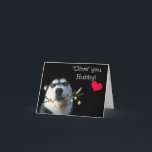 Husband Happy Birthday Niedlich Husky Dog Karte<br><div class="desc">Ein niedlicher Husky-Hund hat einen Olivenzweig und die Worte "Oliven Sie hubby"! Ein glücklicher Geburtstag für deinen Mann auf niedliche Weise!</div>