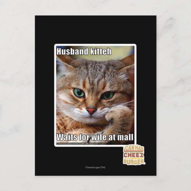 Husband Kitteh Postkarte (Vorderseite)
