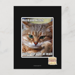 Husband Kitteh Postkarte