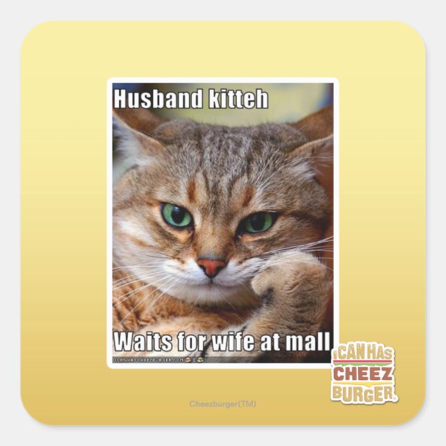Husband Kitteh Quadratischer Aufkleber (Vorderseite)