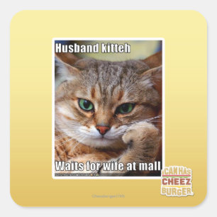 Husband Kitteh Quadratischer Aufkleber