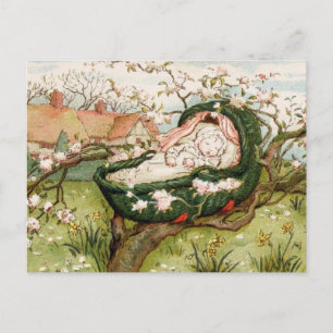 Hush A Bye Baby Postkarte