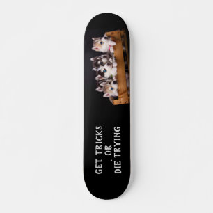 Huski Pups in einer Kiste Get Tricks oder Die Tric Skateboard