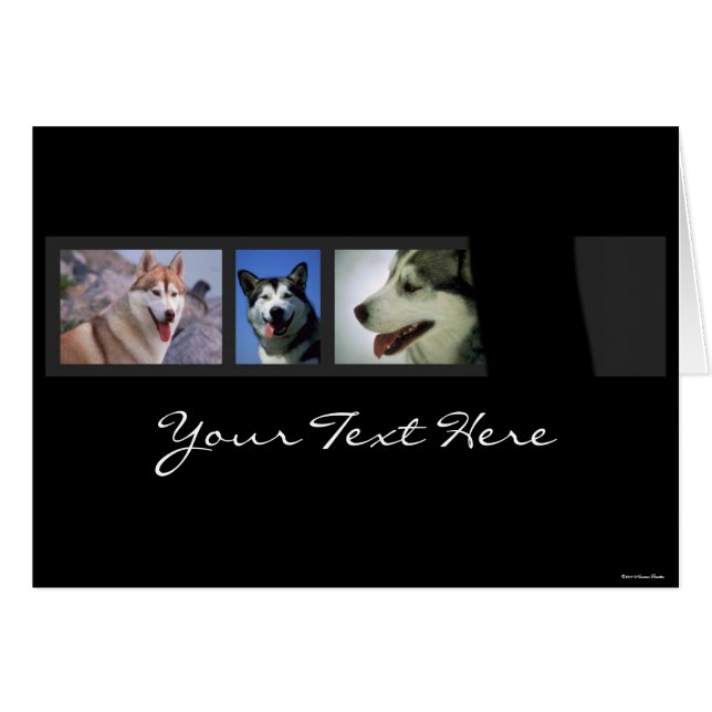 Huskies Card (Vorderseite (Horizontal))
