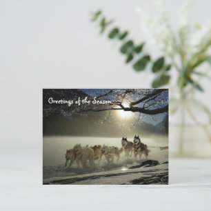 Huskieses Husky Holiday Sled Dog Weihnachtskarte Postkarte