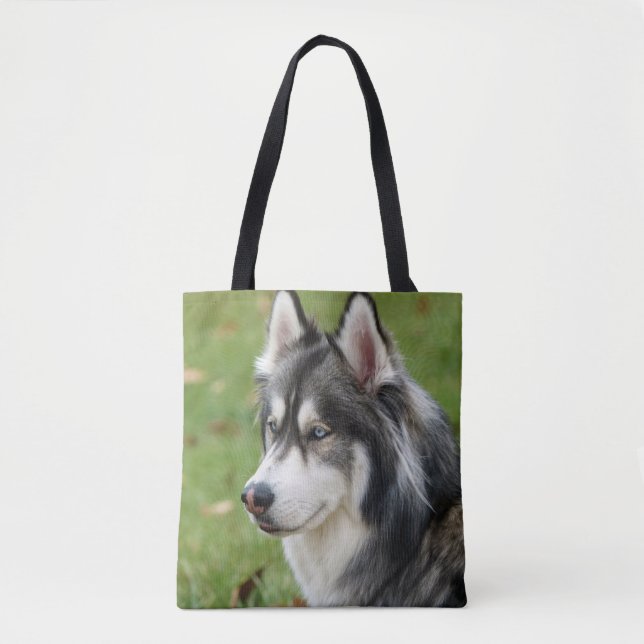 Husky (Vorderseite)