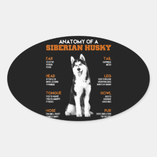 Husky   Anatomie sibirischer Hunde Ovaler Aufkleber
