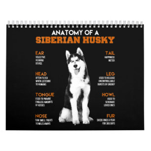 Husky Anatomie von sibirischen Husky - Hunden Kalender