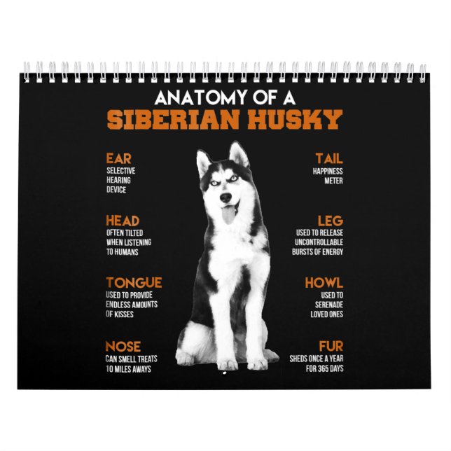 Husky| Anatomie von sibirischen Husky - Hunden Kalender (Titelbild)