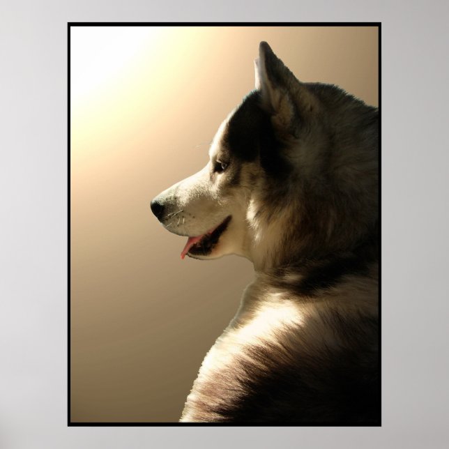 Husky Art Print Sled Dog Art Poster Husky Geschenk (Vorne)