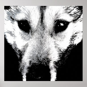 Husky Art Print Sled Dog Art Poster Wolf Pup Gesch