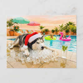 Husky auf Felsen zu Weihnachten Postkarte