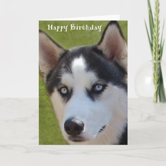 Husky Birthday Card Karte (Vorderseite)