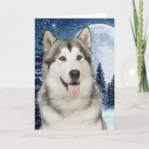 Husky Christmas Card Feiertagskarte