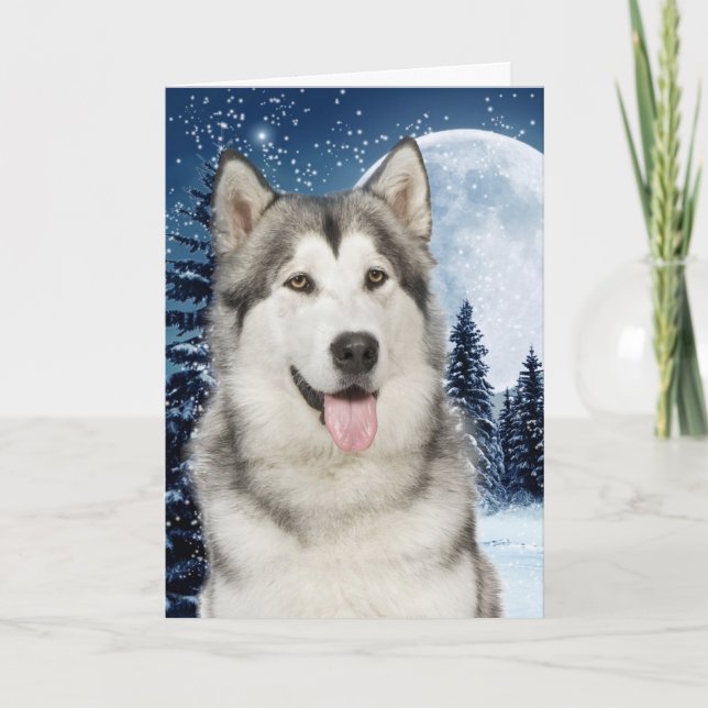 Husky Christmas Card Feiertagskarte (Vorderseite)