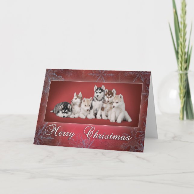 Husky Christmas Feiertagskarte (Vorderseite)