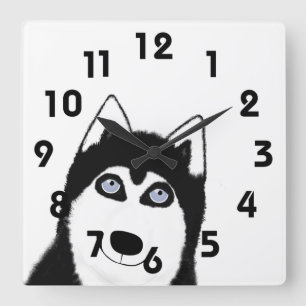 Husky Clock Quadratische Wanduhr