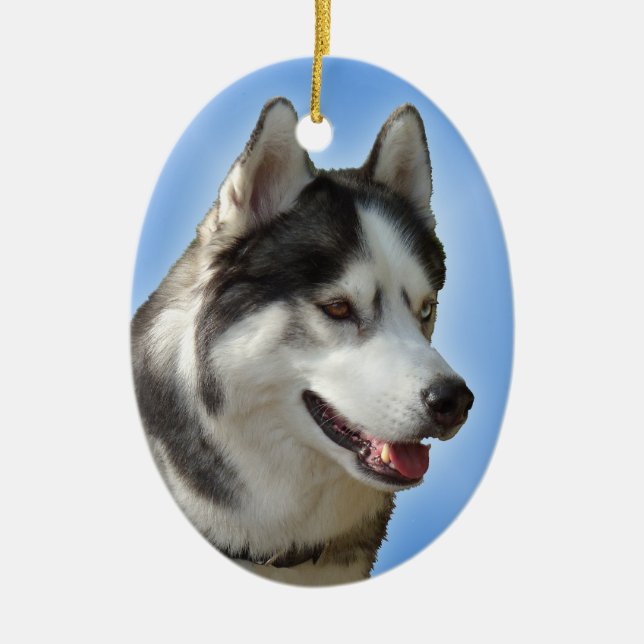 Husky-Dekoration Personalisierter Schlittenhunde Keramik Ornament (Vorne)
