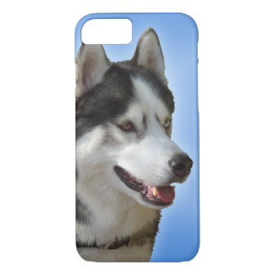 Husky Dog iPhone Fälle Husky Malamute Pup Hüllen