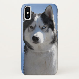 Husky Dog iPhone Fälle Husky Malamute Pup Hüllen