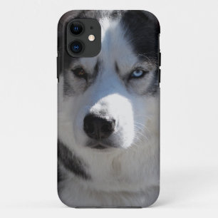 Husky Dog iPhone Fälle Husky Malamute Pup Hüllen