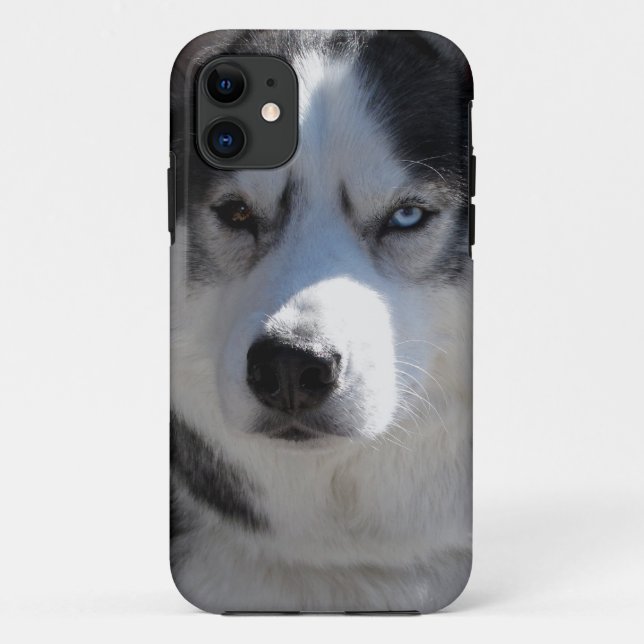 Husky Dog iPhone Fälle Husky Malamute Pup Hüllen (Rückseite)
