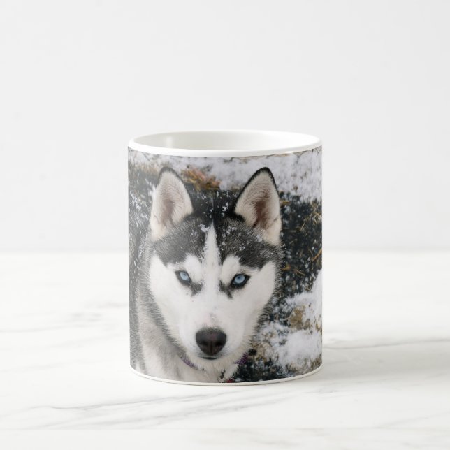 Husky dog kaffeetasse (Mittel)