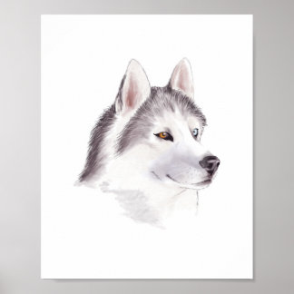 Husky Dog Poster / Tierplakate
