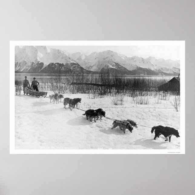 Husky Dog Team Alaska 1918 Poster (Vorne)