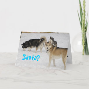 Husky-Feiertags-Weihnachtskarte Feiertagskarte