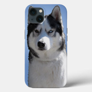 Husky Galaxy S3 Hülle Schlittenhund Husky Hülle iPhone Hülle