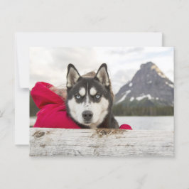 Husky-Gebirge Postkreuz Postkarte